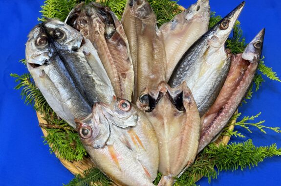 日本海鮮魚一夜干し4種セット